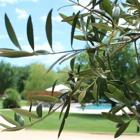 Charamèlia Saint-Victor-de-Malcap