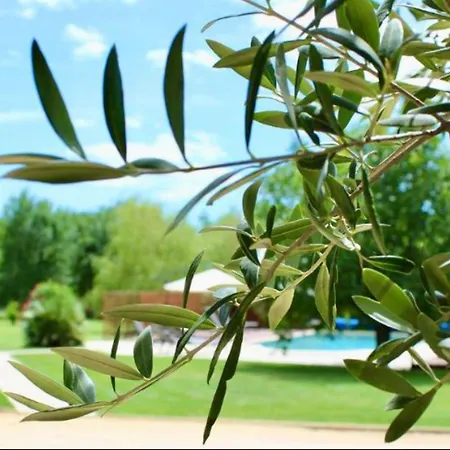 Charamelia Saint-Victor-de-Malcap